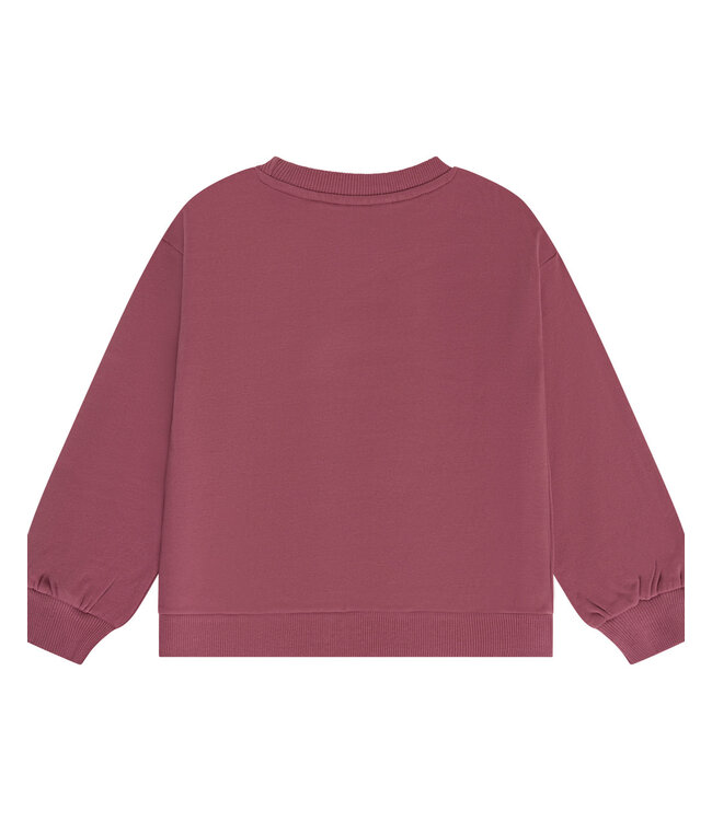 FW Minymo: Longsleeve 124517 (Crushed berry)