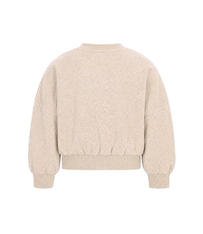FW Like Flo: Sweater Danee 5305 (Glitter melee)