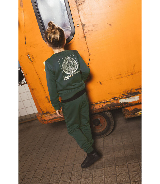 FW TYGO&vito: Sweater Silver 6311 (Storm green)