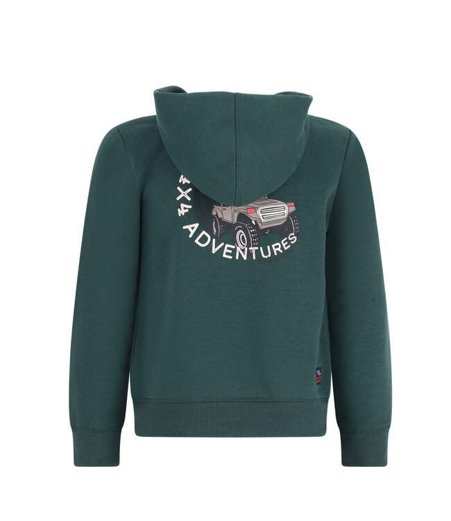 FW TYGO&vito: Hoodie Hank 6331 (Storm green)