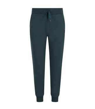 TYGO&vito FW TYGO&vito: Jogging Boaz 6611 (Storm green)