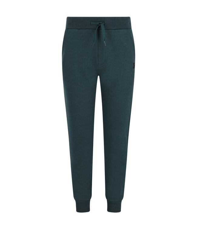 FW TYGO&vito: Jogging Boaz 6611 (Storm green)