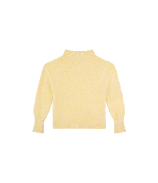 FW Awesome: Sweater Ivy 500115 (Soft Yellow)