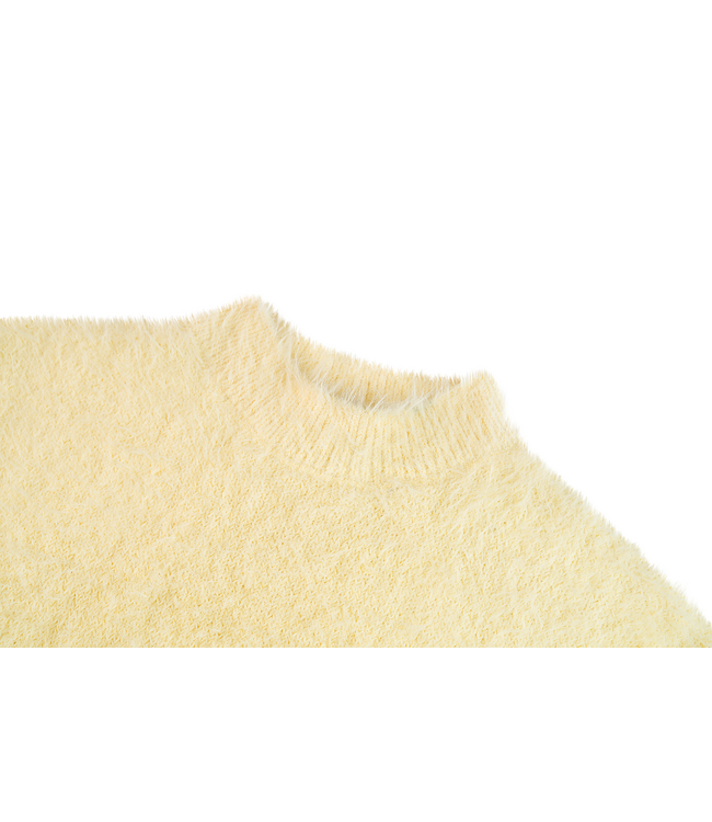 FW Awesome: Sweater Ivy 500115 (Soft Yellow)
