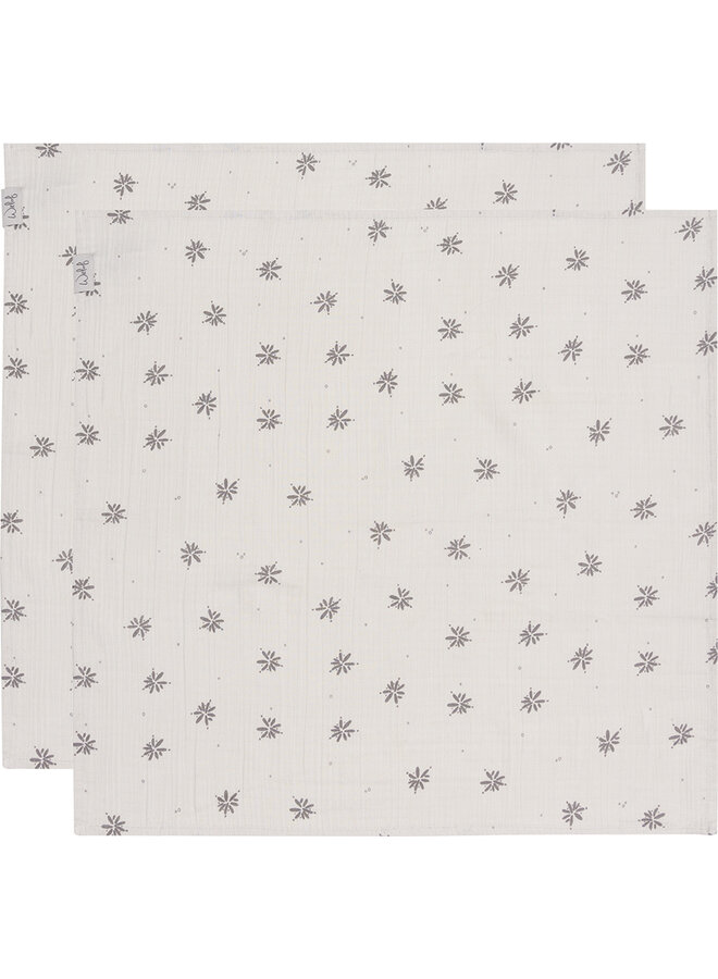 Hydrofiele doek 65*65cm 2pack Little Charm