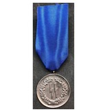 SS 4 jaar dienst medaille
