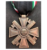 MVSN lange dienst medaille