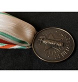 Italian red cross medal bronse