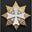 Orde van de Duitse adelaar ster broche