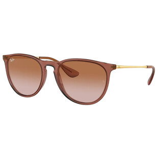 Ray-Ban Erika RB4171 659013 Transparent Light Brown