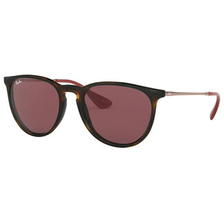 Ray Ban Erika RB4171 659114 Transparent Violet DeZonnebril