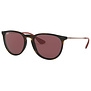 Ray-Ban Erika RB4171 659114 Transparent Violet