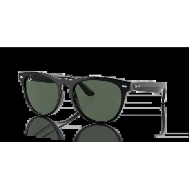 Ray-Ban Ray-Ban Iris RB4471 662971 Black