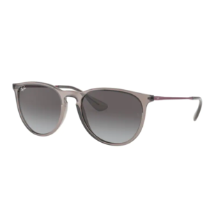 Ray-Ban Youngster RB4171 65138G Transparent Gray