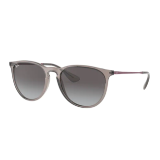 Ray-Ban Ray-Ban Youngster RB4171 65138G Transparent Gray