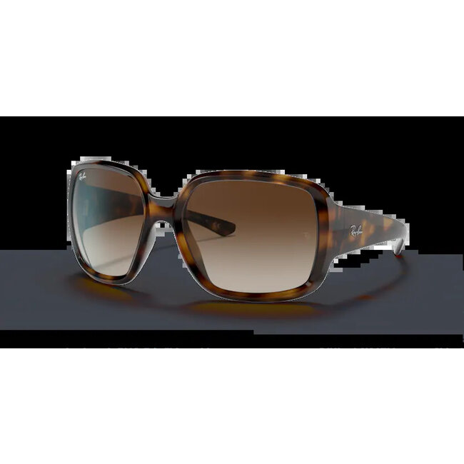 Ray-Ban Ray-Ban Powderhorn RB4347 710/13 Havana