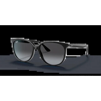 Ray-Ban Ray-Ban RB4378 601/8G Black