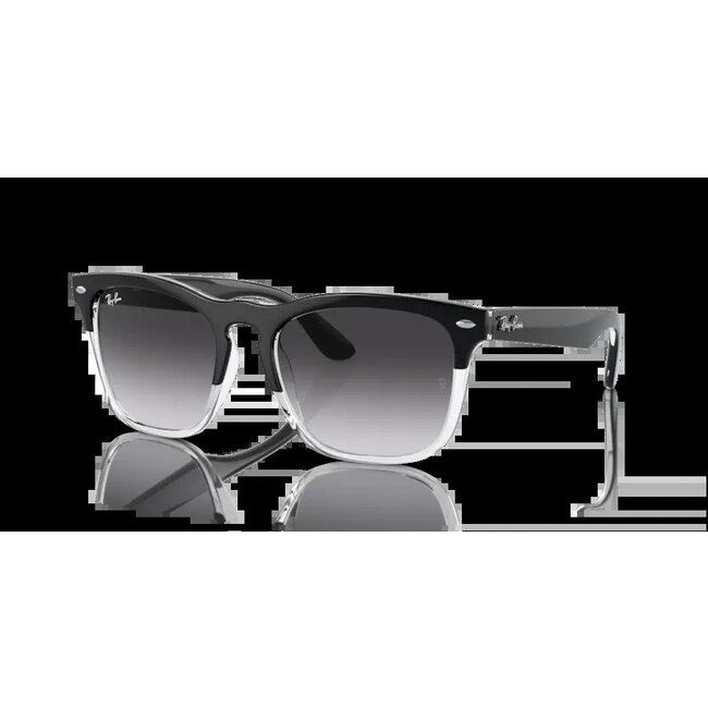 Ray-Ban Ray-Ban Steve RB4487 66308G Black on Transparent