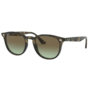 Ray-Ban RB4259 731/E8 Grey Havana