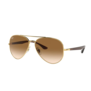 Ray-Ban RB3675 001/51 Arista