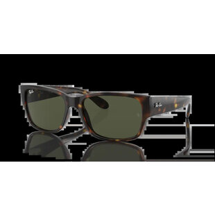 Ray-Ban RB4388 710/31 Havana