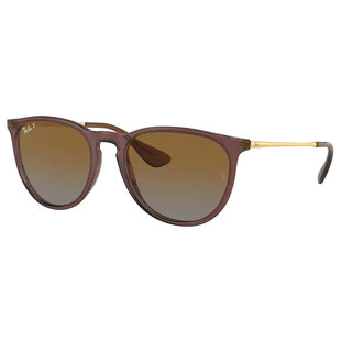 Ray-Ban Erika RB4171 6593T5 Transparent Dark Brown