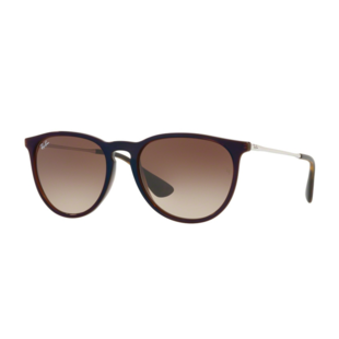 Ray-Ban Erika RB4171 631513 Trasparent Brown SP Blue