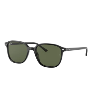 Ray-Ban Leonard RB2193 901/31 Black