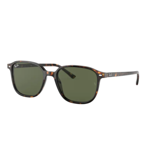 Ray-Ban Leonard RB2193 902/31 Tortoise