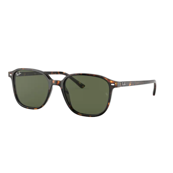 Ray-Ban Ray-Ban Leonard RB2193 902/31 Tortoise