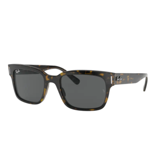 Ray-Ban Ray-Ban Jeffrey RB2190 1292B1 Havana on Transparent Brown