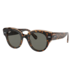 Ray-Ban Ray-Ban Roundabout RB2192 1292B1 Havana on Transparent Brown