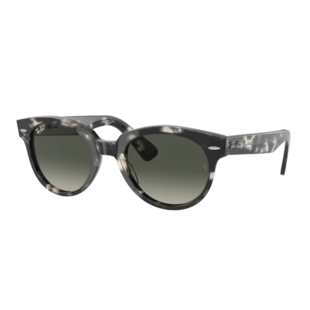 Ray-Ban Orion RB2199 133371 Gray Havana
