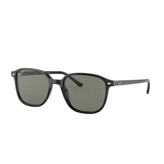 Ray-Ban Ray-Ban Leonard RB2193 901/58 Black