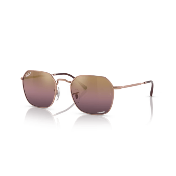 Ray-Ban Ray-Ban Jim RB3694 9202G9 Rose Gold