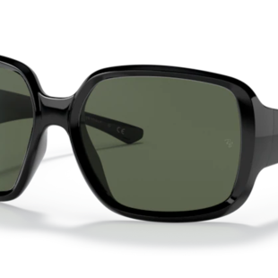 Ray-Ban Powderhorn