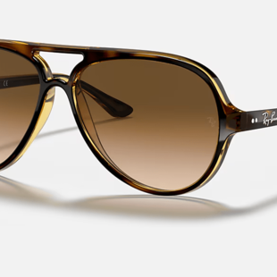 Ray-Ban Cats