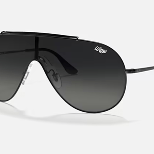 Ray-Ban Wings