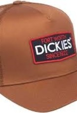 Dickies Lane City Truckercap
