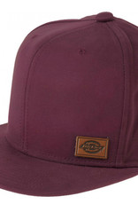 Dickies Minnesota cap