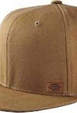 Dickies Minnesota cap