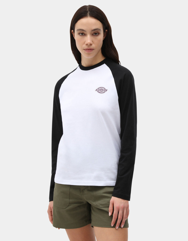 Dickies t-shirt chevak