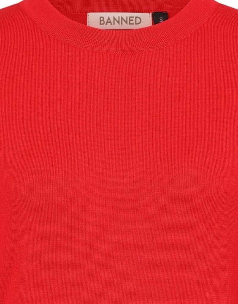 Banned Apparel Jones Jumper