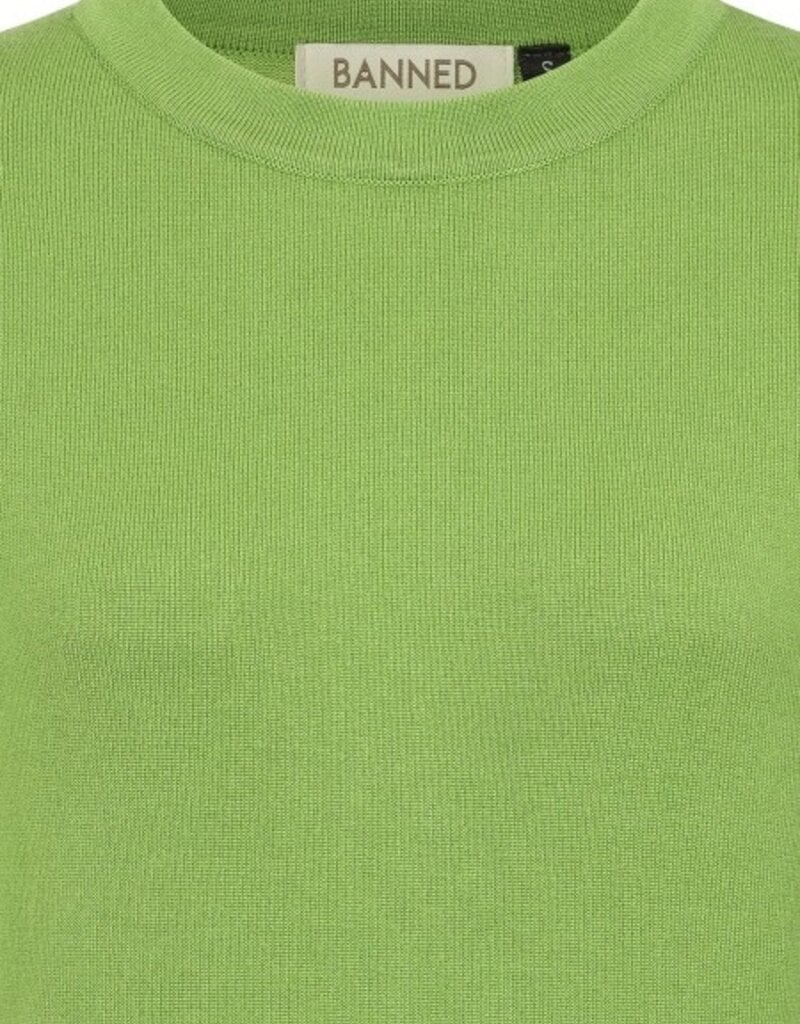 Banned Apparel Jones Jumper