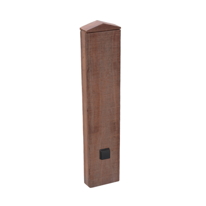 ChargeXpert Azobé standing pole for EV Charger with 220V wall socket