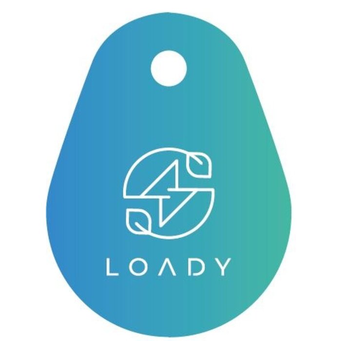 LDY Charge Card - Charge tag - charge everywhere