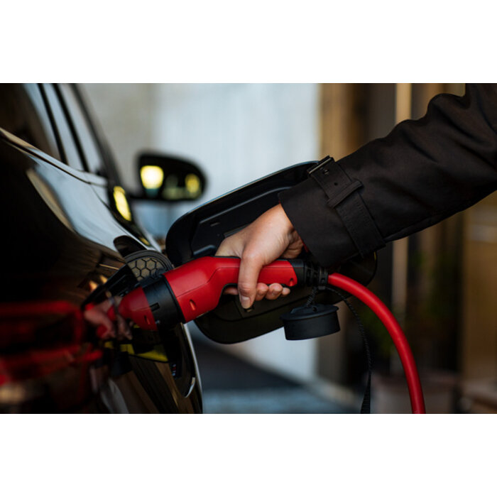 DEFA câble de recharge 5 mètres - 13.8 kW - 3x20A - sortie