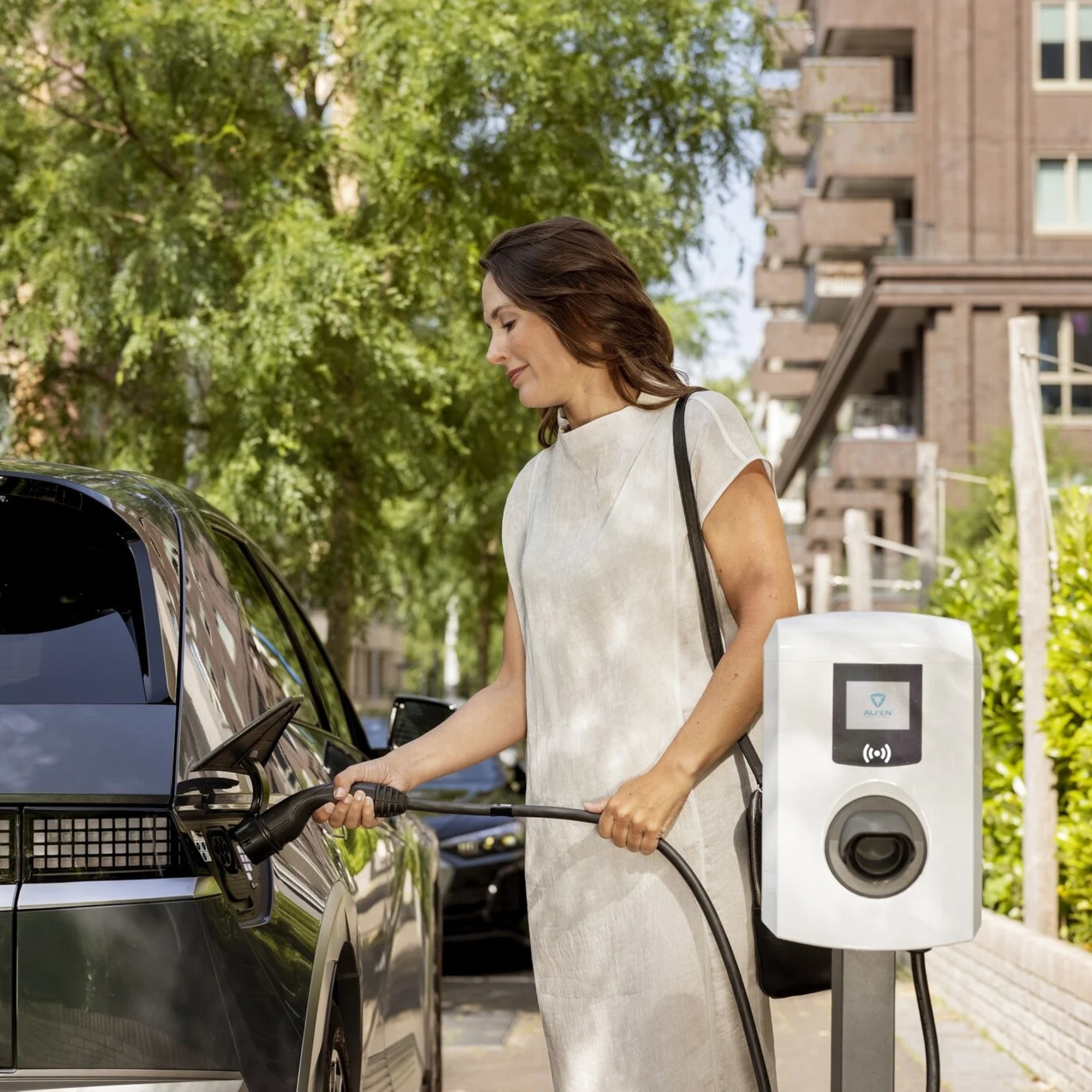 Alfen Alfen Eve Single Pro-line 11 kW - Câble de charge non compris - borne de recharge