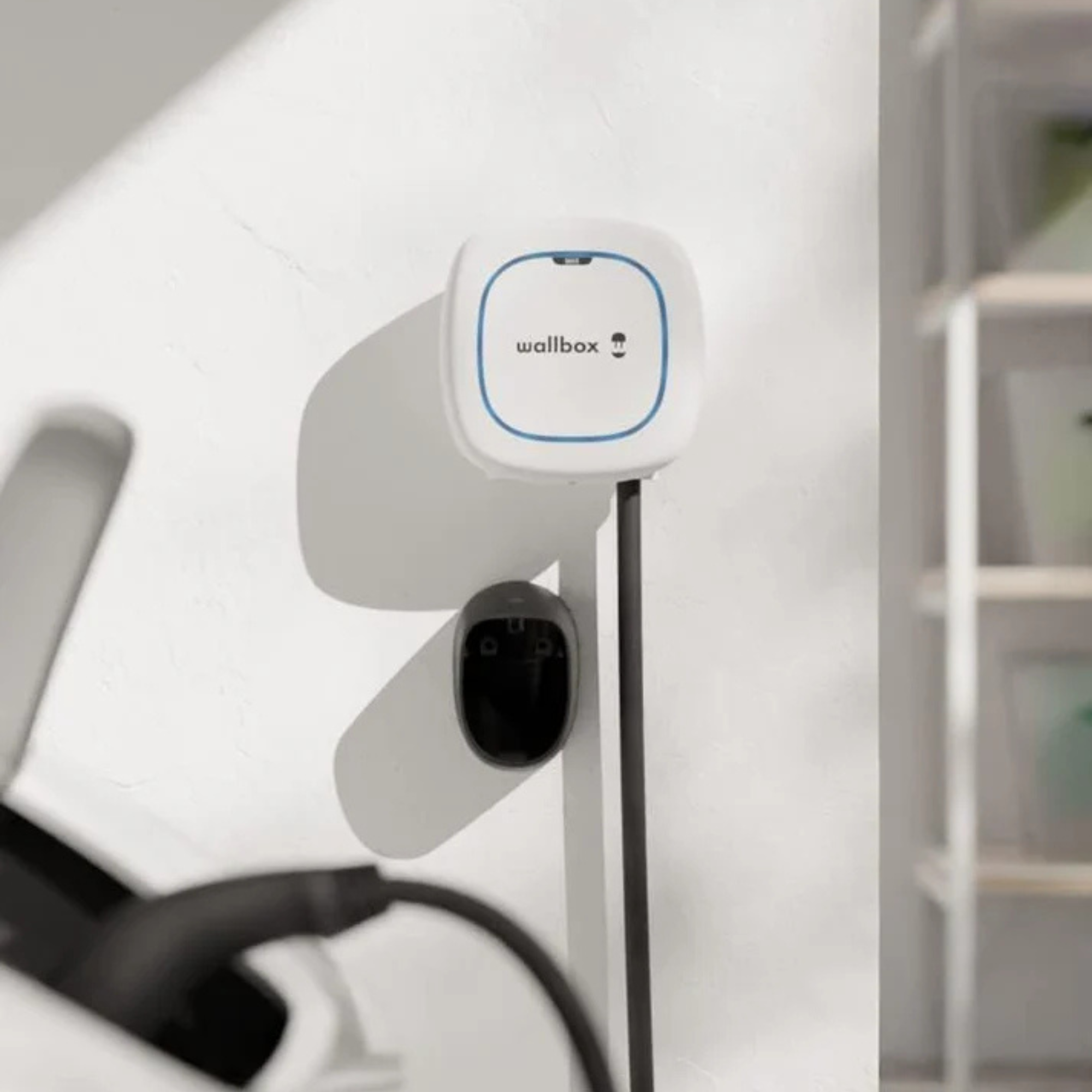 Wallbox Wallbox Pulsar Max 22 kW - type 2 - borne de recharge - Sortie