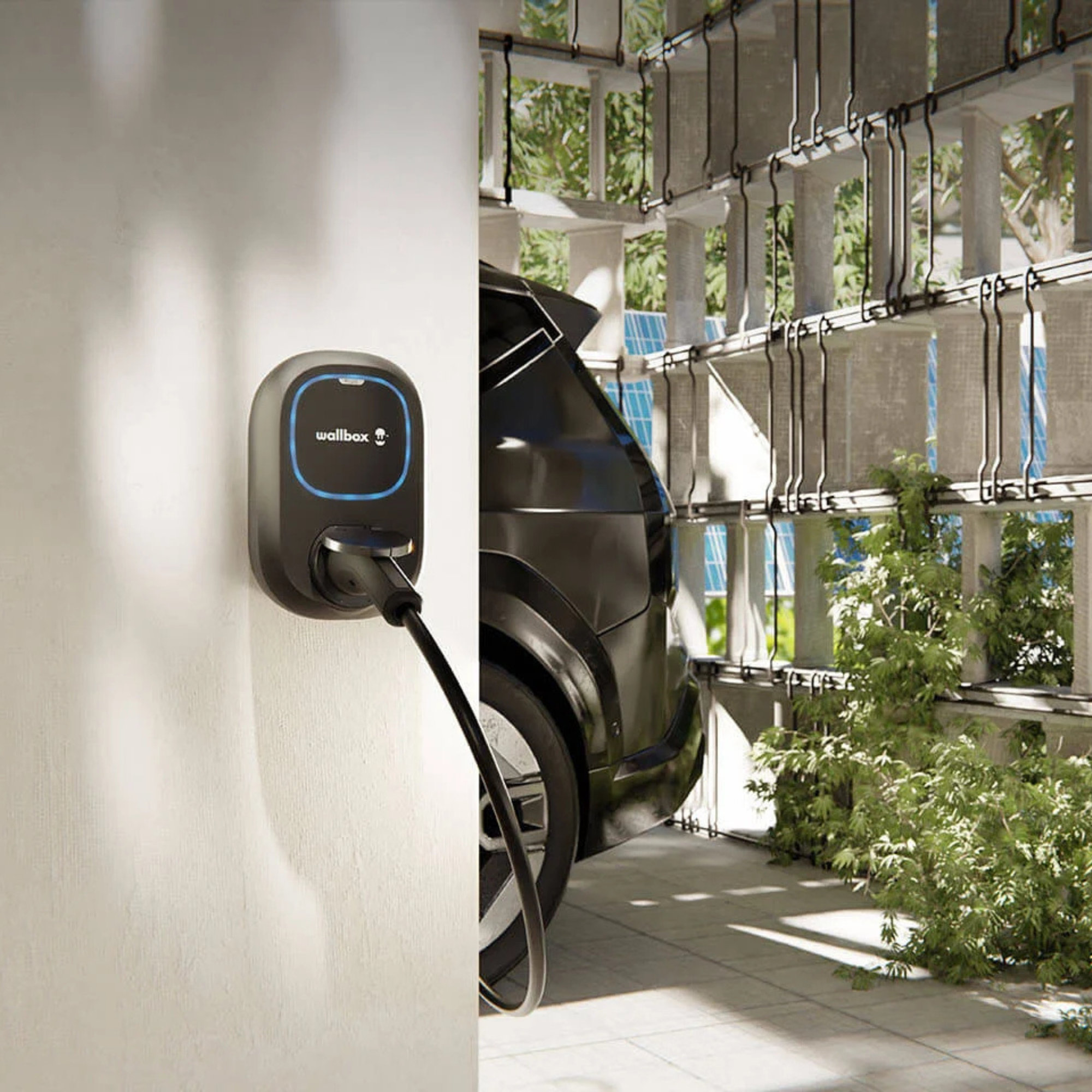 Wallbox Wallbox Pulsar Pro MID 22 kW - Type 2 - Prise - Borne de recharge